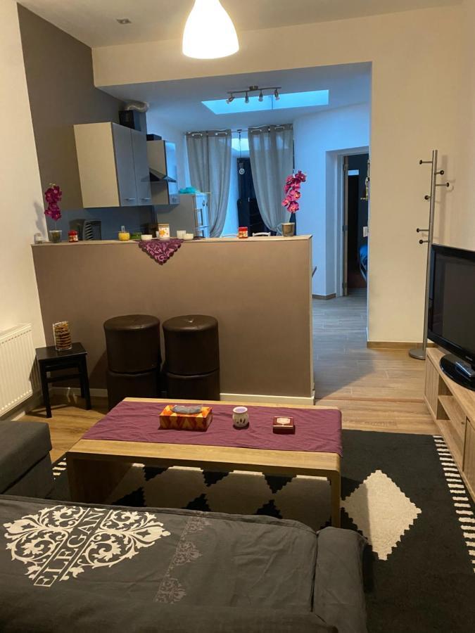 שרלרואה Superbe Appartement מראה חיצוני תמונה