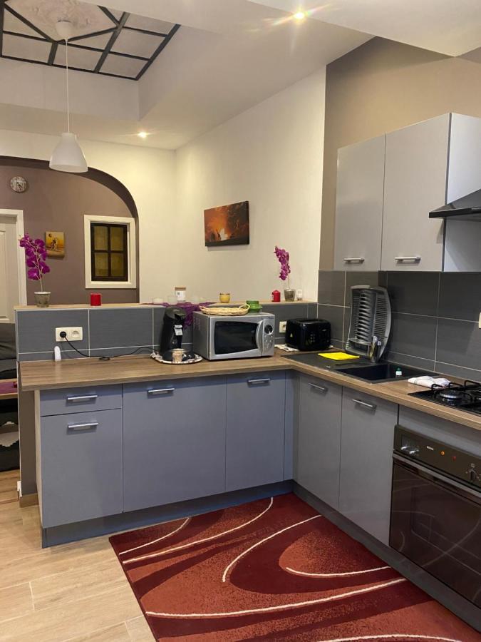 שרלרואה Superbe Appartement מראה חיצוני תמונה